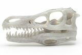 Carved Labradorite Dinosaur Skull #218490-2